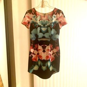 Tiger Mist Abstract Floral